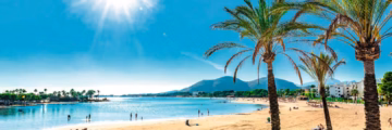 Alcudia